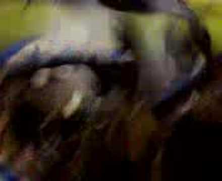 Grêmio x Atletico-Go, Vamos Grêmio Copeiro 09/04/08