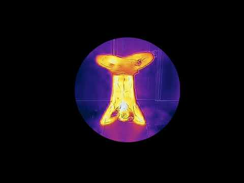 Sirsasana (The Lotus Pose)