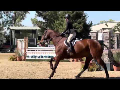 Daphne Gretton Iglesias O. A Maclay Medal First Place Sac International