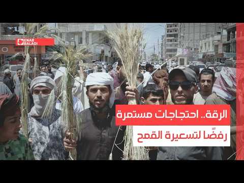 تقرير "عنب بلدي" عن وقفة احتجاجية في مدينة الرقة ضد تسعيرة شراء محصول القمح