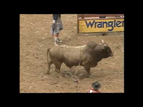 Lawman bucks Norman Curry - 99 PBR Charlotte