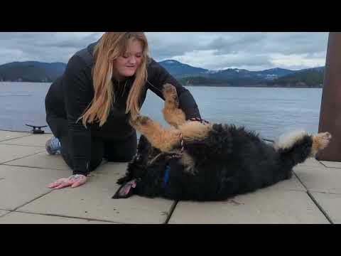 Adventure awaits with Aragorn