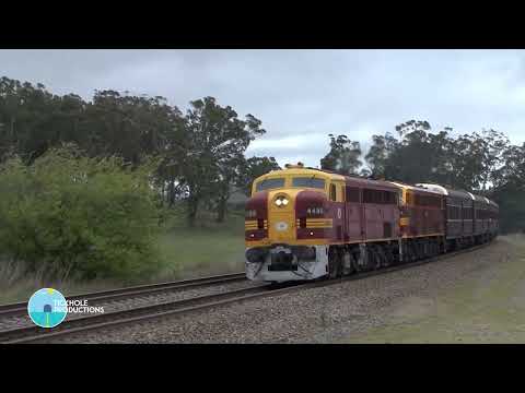 Diesel Locomotives 4486 & 4464 - Sydney to Goulburn - October 2016