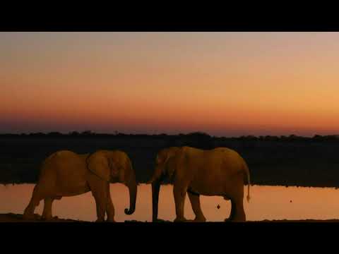 SANDHAUS, KOBAIEN, Sound of Bam ---- Zimbabwe (Kintar ReMix)