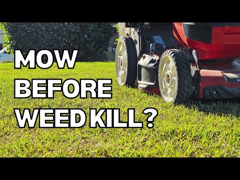 Do You Cut The Grass Before Weed Killer Or After?