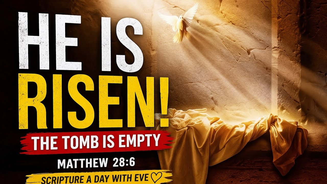 He Is Risen! | Matthew 28:6 Devotional | Scripture A Day With Eve
