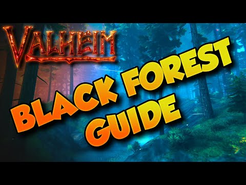 Valheim Black Forest Tips 🌲 Valheim Tips and Tricks