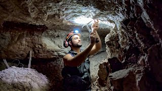 Download lagu JC Discovered Rare Opal Fossil Down Old Timer Mineshaft! mp3 Download lagu JC Discovered Rare Opal Fossil Down Old Timer Mineshaft! mp3