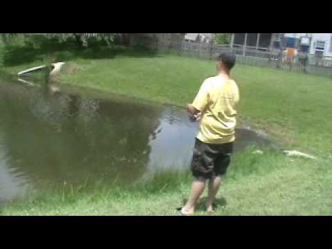 Fishing my backyard pond