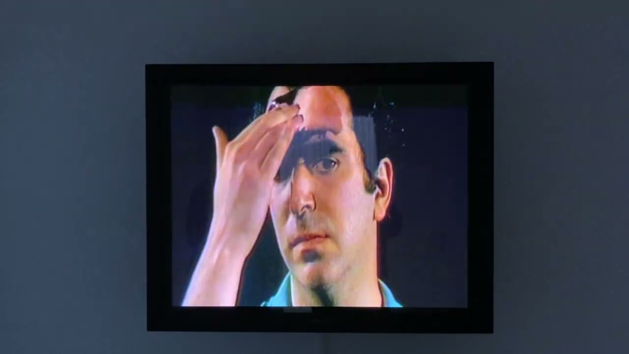 Peter Campus / Three Transitions II