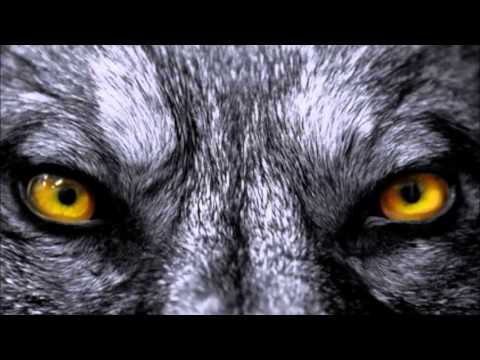 Reinis Kapone - Aizver Durvis