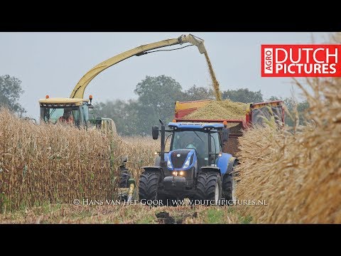 Mud, Wind and Maize harvest with a Krone Big X 500 | Mais hakselen | Modderen | H. Brand | 2017