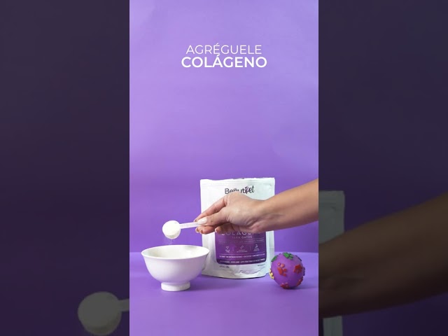 Vídeo relacionado con SANTKOL Colágeno para Gatos, 60ML, Sabor a Pollo Asado