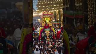 Mysore Dasara festival/ royal Festival/ Elephant/ 
