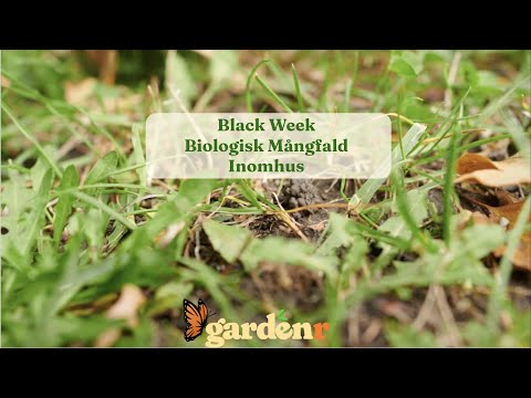 BW - Biologisk Mångfald inomhus - Trädgårdshacks med GardenR