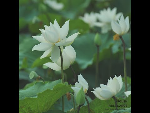 Aroush - First Dance (Official Audio) Dark Minimal