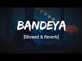 Bandeya Arijit Singh Slowed Reverb Dil Juungle Song Tunemusic