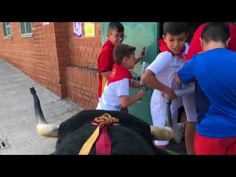 San Fermin 2018 ESCUELAS DE VERANO PIENSOS DURÁN ALBENSE FS