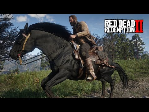The Horse Tamer Part 4 - Taming a Black Horse - Red Dead Redemption 2