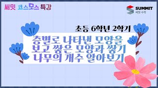 [써밋코스모스 특강] 6학년2학기 층별로 나타낸 모양을 보고 쌓은 모양과 쌓기나무의 개수 알아보기