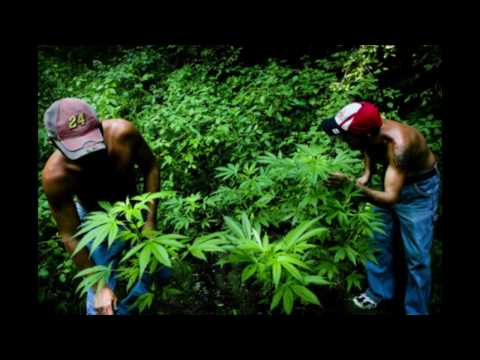 Abijah - Nah give up today ( reggae chill song ) + lyric