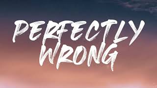 Shawn Mendes - Perfectly Wrong (Lyrics) 1 Hour