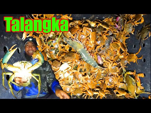 Paninigpaw ng Talangka Part 1