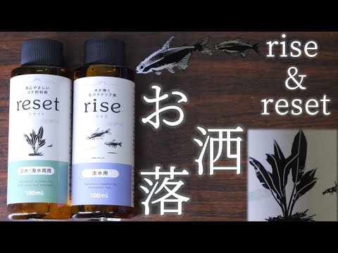  10種類の自然代謝促進剤