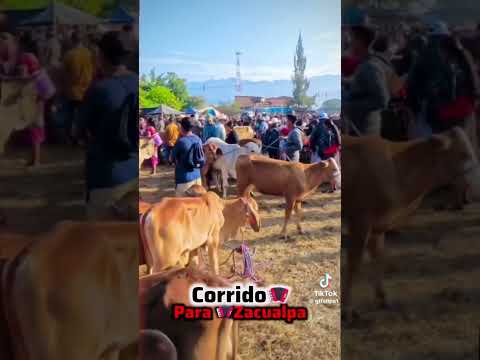 Corrido para mí bello Municipio de Zacualpa el Quiché🇬🇹@ZacualpaElQUICHE
