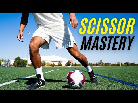 Maximize Scissor Performance With Ease Now