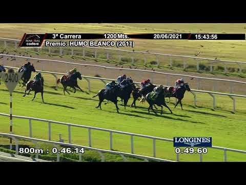 210620 c03 PUFF GIRL