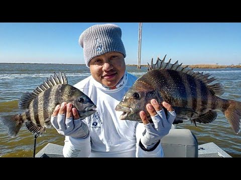 Fishing Tidal Marsh for Sheepshead on YouTube
