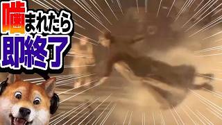 噛まれたら即終了 バイオハザードRE:4 / part432