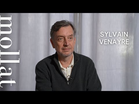 Sylvain Venayre - Pourquoi voyager ? 17 leçons du XIXe siècle