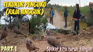 Download lagu It takes time and tactics to get the strength gauge up to 5 points, we lower it @terkukur peliha mp3