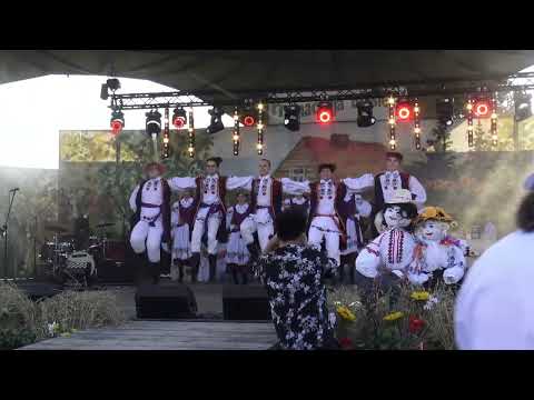 PRYMACKAJA BIASIEDA 2024 cz.  2 Przepiórka HDK