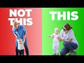A Better Way To Teach Your Baby To Walk 3 Activities That Work