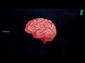 മനുഷ്യരാശിയെ ഞെട്ടിച്ച 8 പ്രപഞ്ച രഹസ്യങ്ങൾ ! | 8 Mind Blown Universe Facts | Cinemagic