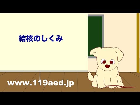 ウロアクチニ科について詳しく解説