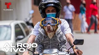 Dueño asegura que una perrita conductora de motos está totalmente entrenada