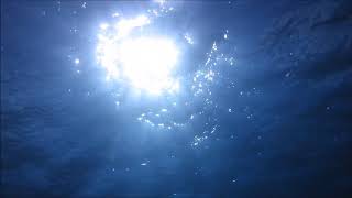 LA MEDIA VUELTA CON LA SPANISH HARLEM HORCHESTA