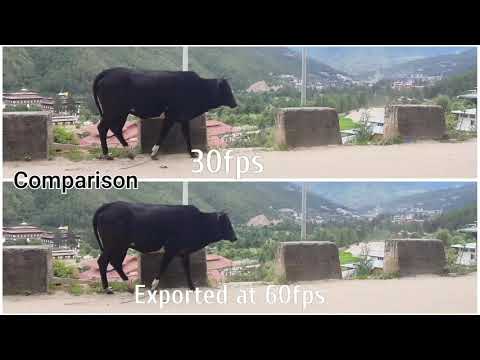 Video Conversion Frame Rate Comparison ll Shot at 30fps and exported to 24fps, 25fps, 50fps, 60fps.