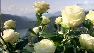 Semino Rossi - Wenn die weissen Rosen blühen 2009