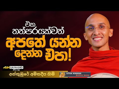 Ankumbure Amithadeepa Himi 2026 New Sinhala Dharma Deshana #mahamevnawa | කාලය අපතේ යවන්න එපා