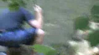 Roaring Run Brown Trout Virginia