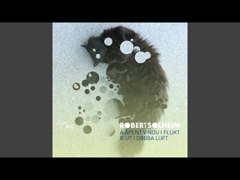 Åpent Vindu I Flukt