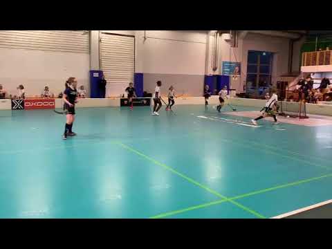 ErVi T12 - Blackbirds