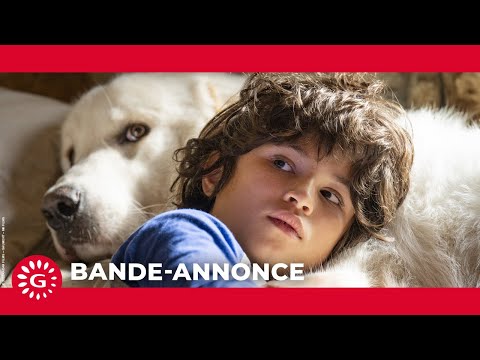 Belle et Sébastien : Nouvelle génération - bande annonce Gaumont