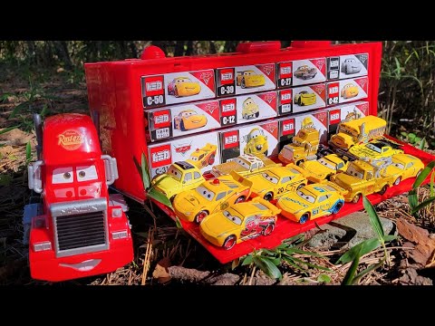 There are 12 yellow Cars miniature cars (Tomica) in the woods. I will store them.
