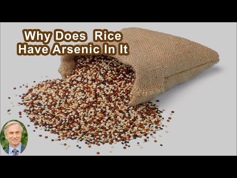 Why Does Some Rice Have Arsenic In It?